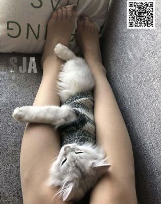 《桌球上的艳遇》在线_高清无删减在线观看