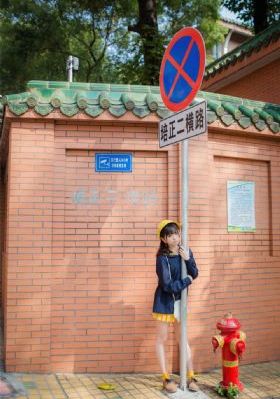 《极限特工2》免费观看_DVD电影在线看