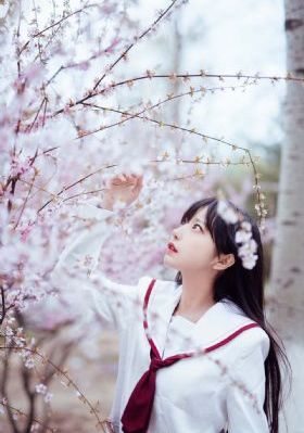 步步为陷_DVD动漫免费观看